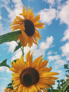 Image by Autumn Mott Rodeheaver