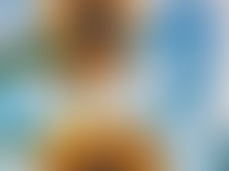 中1も中2も勝負の夏