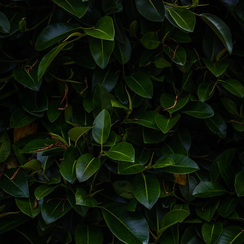 Image by paul mocan