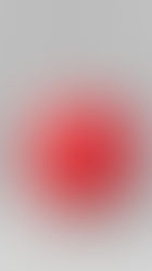 The first bite of the apple is with the eye…