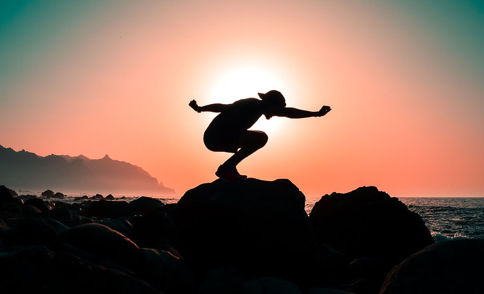 crouching silhouette against the sun, ready to take off
