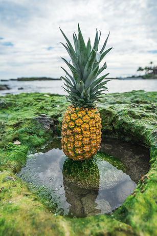 Image by Pineapple Supply Co.