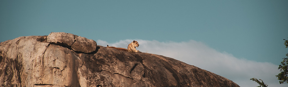 Image by Paola Blašković