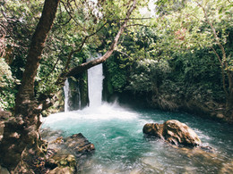Image by Robert Bye
