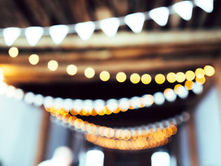 Image de Andrew Knechel