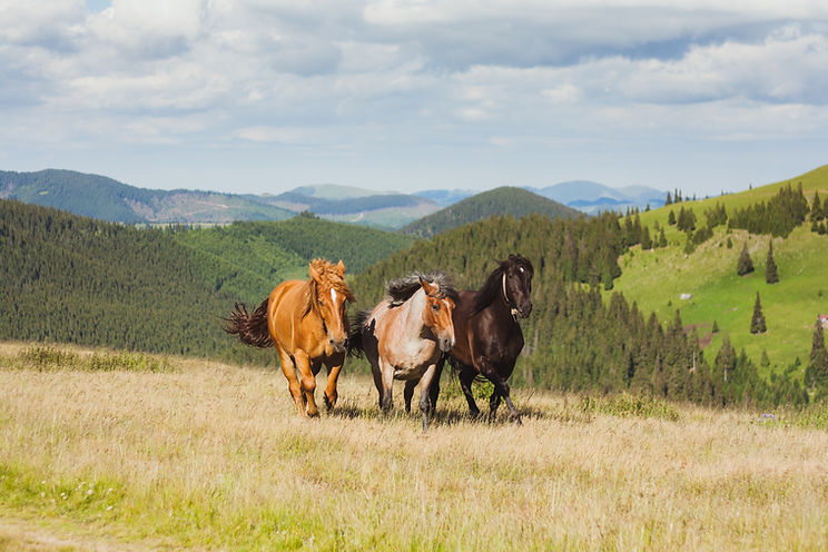Image by Florin Beudean