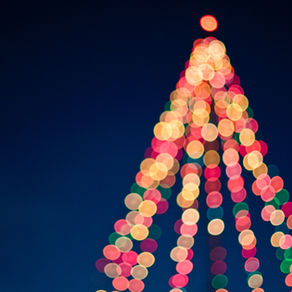 Christmas in West Palm Beach with Kids