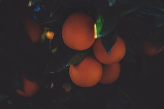 Image by Tim Mossholder