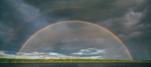 Image by Jesse Gardner