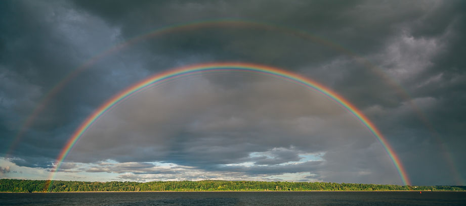 Image by Jesse Gardner