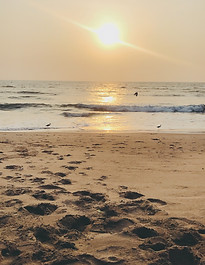 Image by Divya Arvind