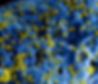 Image by CDC