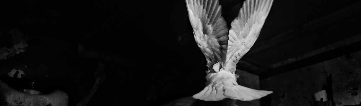 Image by Bahram Bayat