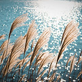 Image by Weiqi Xiong