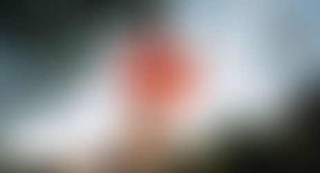 An Epic Canadian Life - an Editorial Review of "The Journal of John McLeod"