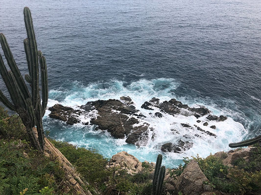 Image by Ibiza Aguilar