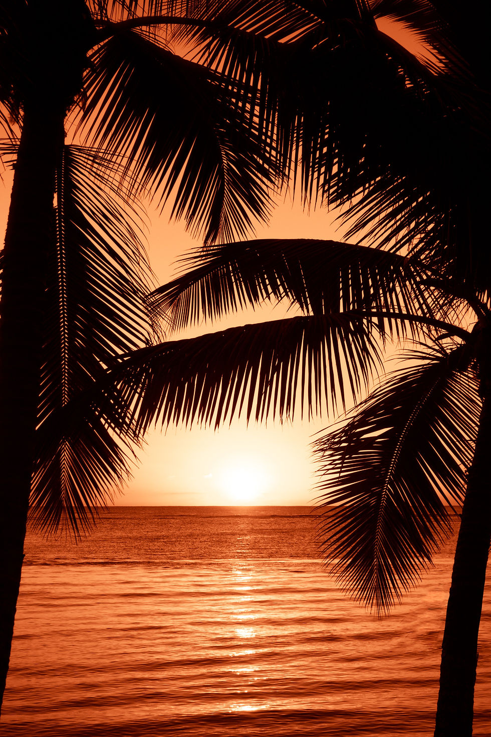 Image by Xavier Coiffic