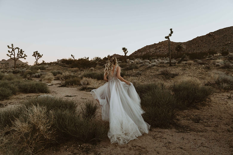 Image by Kate