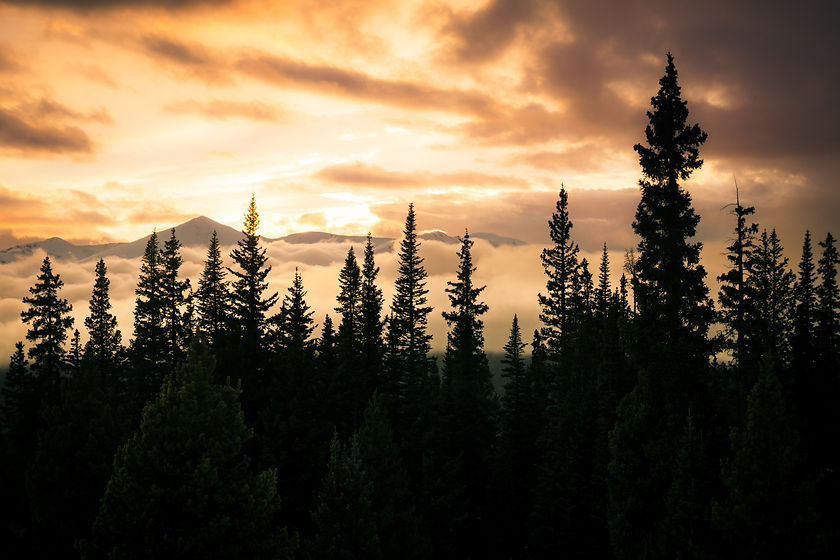 Image by Brian Erickson