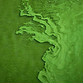 Image by Mihály Köles
