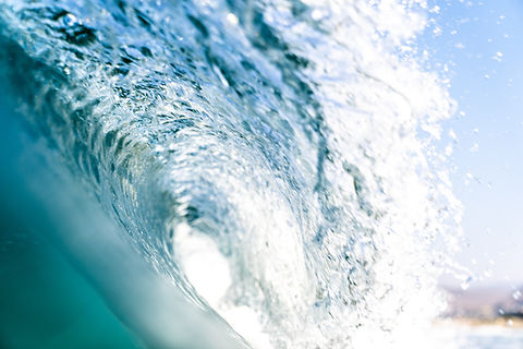 Image by Matthew Hume