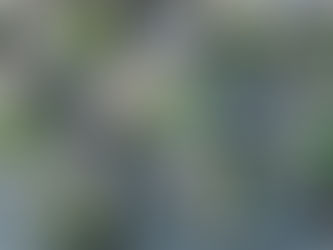 What is the difference between Compostable and Biodegradable?