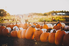 Image by Maddy Baker