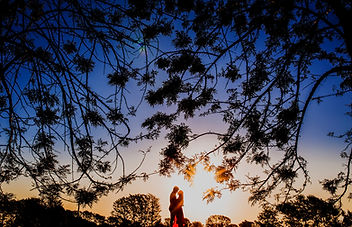 Image by Everton Vila