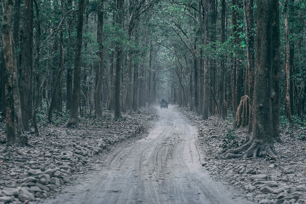 Durga Devi Safari Zone