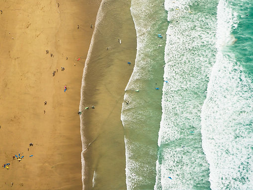 Image by Louis Reed