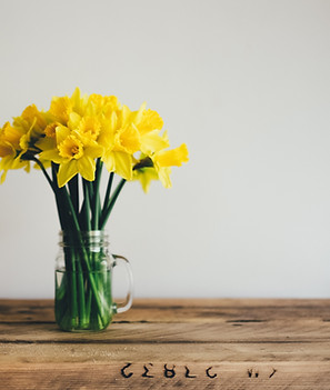 Image by Annie Spratt