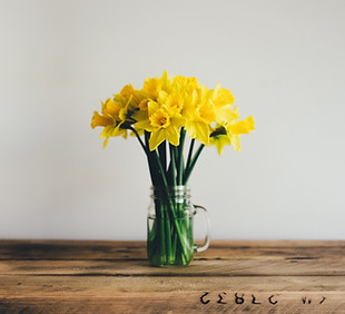 Image by Annie Spratt