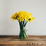 Image by Annie Spratt