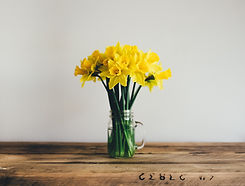 Image by Annie Spratt