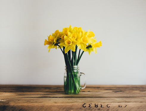 Image by Annie Spratt