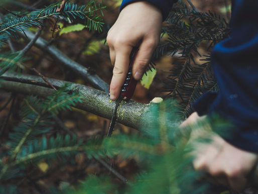 5 Essential Outdoor Skills Every Man Should Master