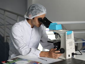 ‘Drug factory’ Implants Eliminate Ovarian, Colorectal Cancer in Mice
