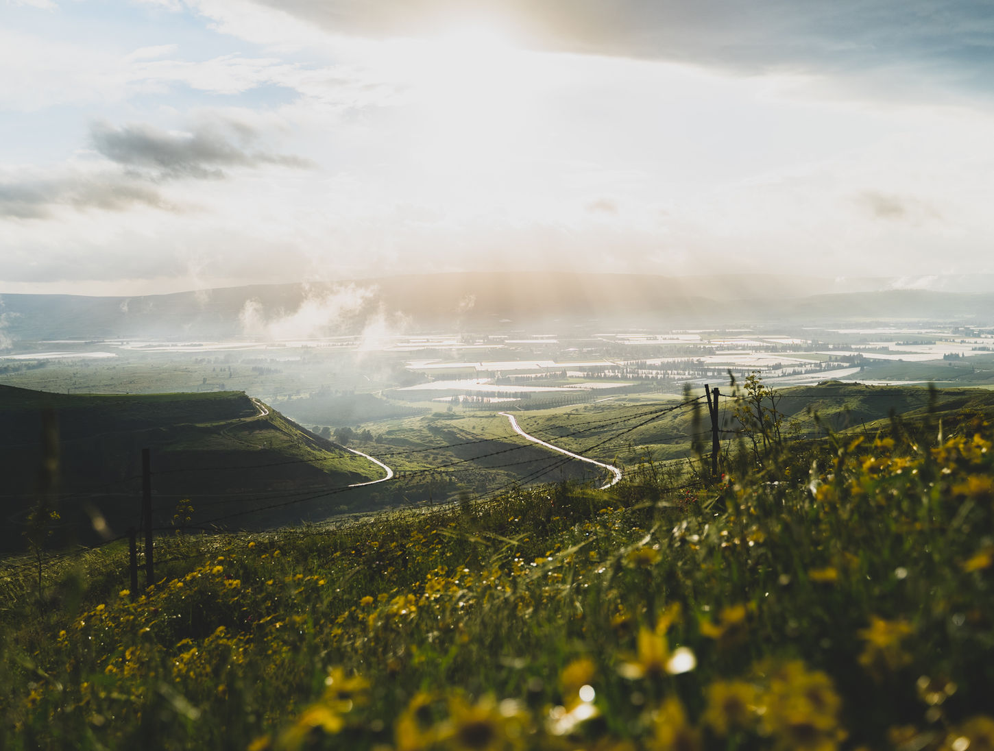 Galilee Image by Aviv Ben Or