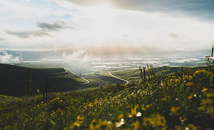 Image by Aviv Ben Or