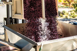 Image by Lasseter Winery