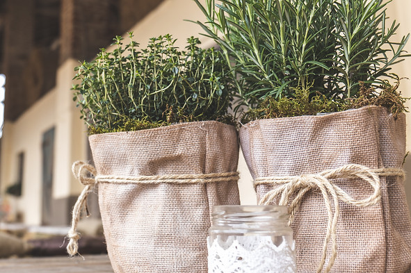 Image by Luigi Pozzoli