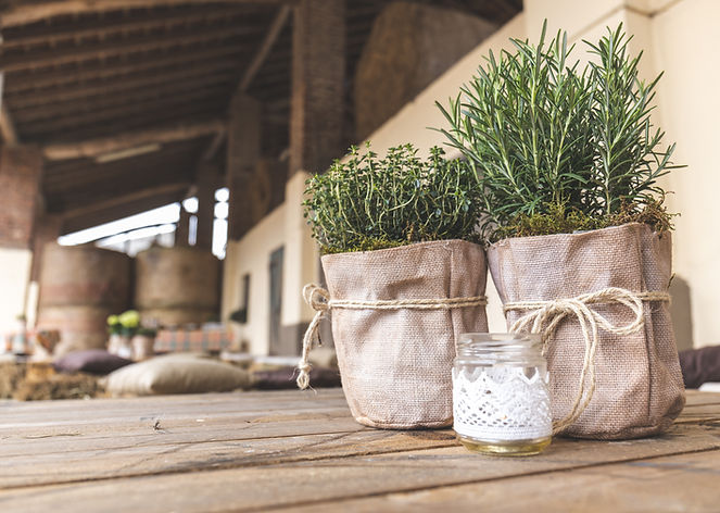 Image by Luigi Pozzoli