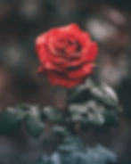 Overcoming Trauma Support Group