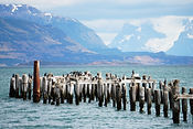 Tours en Puerto Natales