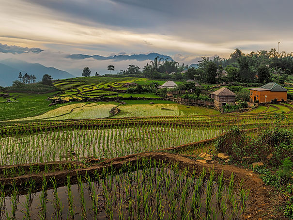 voyage vietnam petit groupe