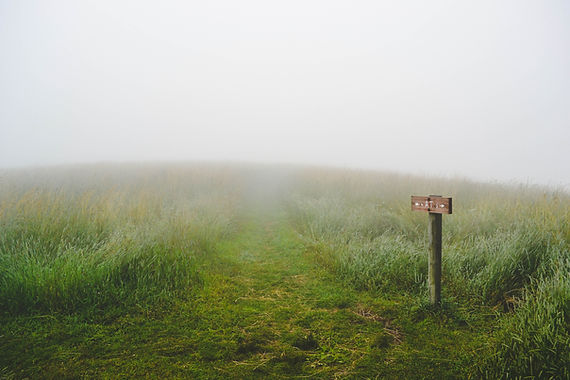 Image by Evelyn Mostrom
