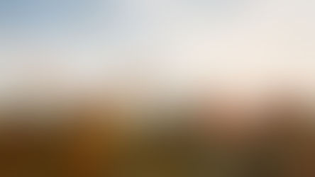 The Unpopular Benefits of Vibe Perception