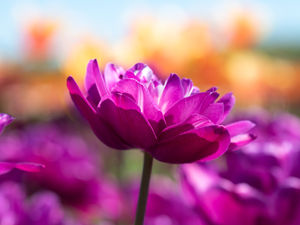 Busyness And Distractions Are Dominating! However, Your Personal Self-Care Should Take Priority!