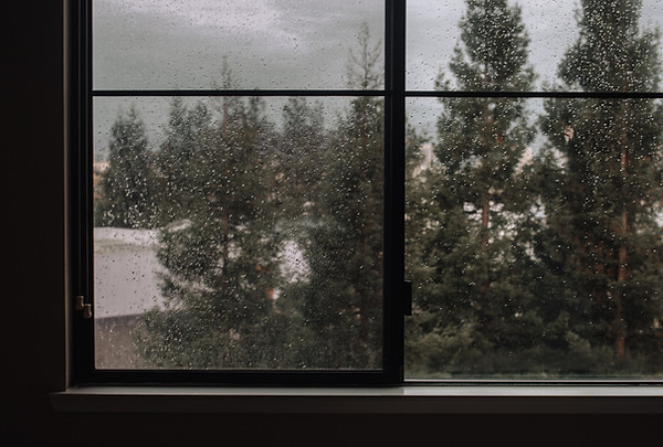 Image by Nadia Valko