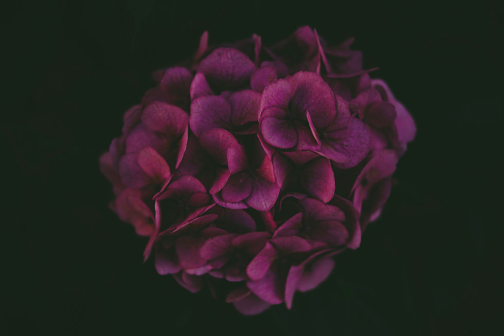 Image by Markus Spiske